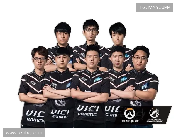 杭州篮球队崛起之路：从默默无闻到联赛强队的奋斗历程